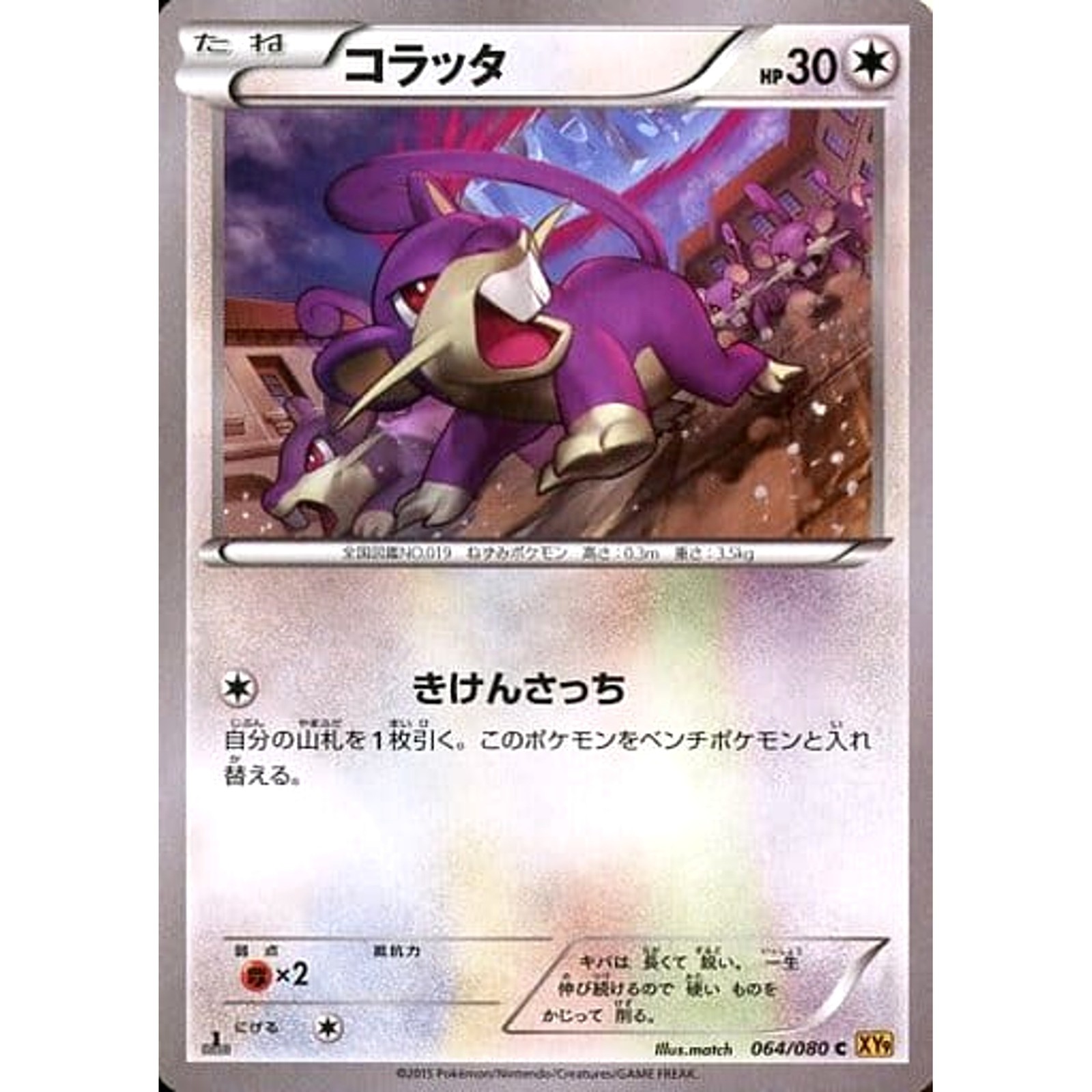 Pokemon Rattata C 064/080 XY9 Rage of the Broken Heavens Japanese Card