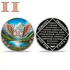 2  Year Flying Wings NA Medallion, Narcotics Anonymous Silver Recovery Coin Gift