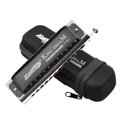 EASTTOP T1248K Chromatic Harmonica Key C 12Hole 48Tone Mouth Organ Harmonica DE