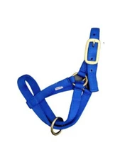 New! Valhoma Quality webbing GOAT HALTER in Kid Nanny Billy size & 7 COLORS!