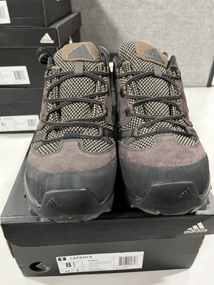 adidas caprock hiking shoe