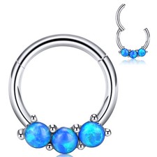 16G Septum Clicker Segment Hinged Nose Ring Lip Ear Cartilage Daith 8MM/10MM-ONE