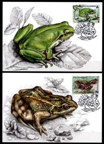  Amphibien. Frösche. 4 Maximumkarten. Weißrußland 2015  - Bild 1 von 2