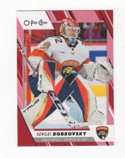 2023-24 O-PEE-CHEE HOCKEY RED BORDER SERGEI BOBROVSKY FLORIDA PANTHERS #143