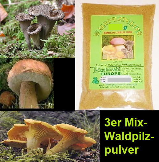 Seta del bosque en polvo setas de piedra silbato trompetas de otoño 250 g mezcla polvo de especias