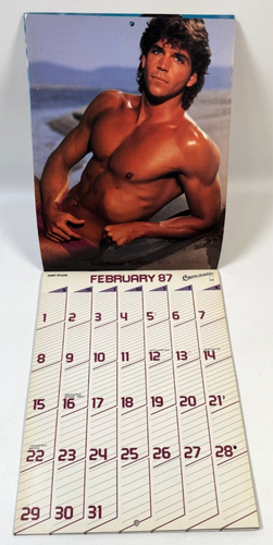 SELTEN NEUWERTIG Vintage 1987 Chippendales Wandkalender ohne Schrift Pin-up männlich - Bild 2 von 5
