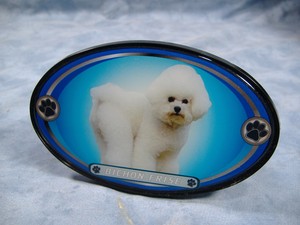 bichon frise accessories