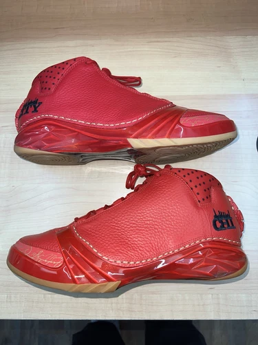 Size 10.5 Air Jordan 23 Retro Chicago