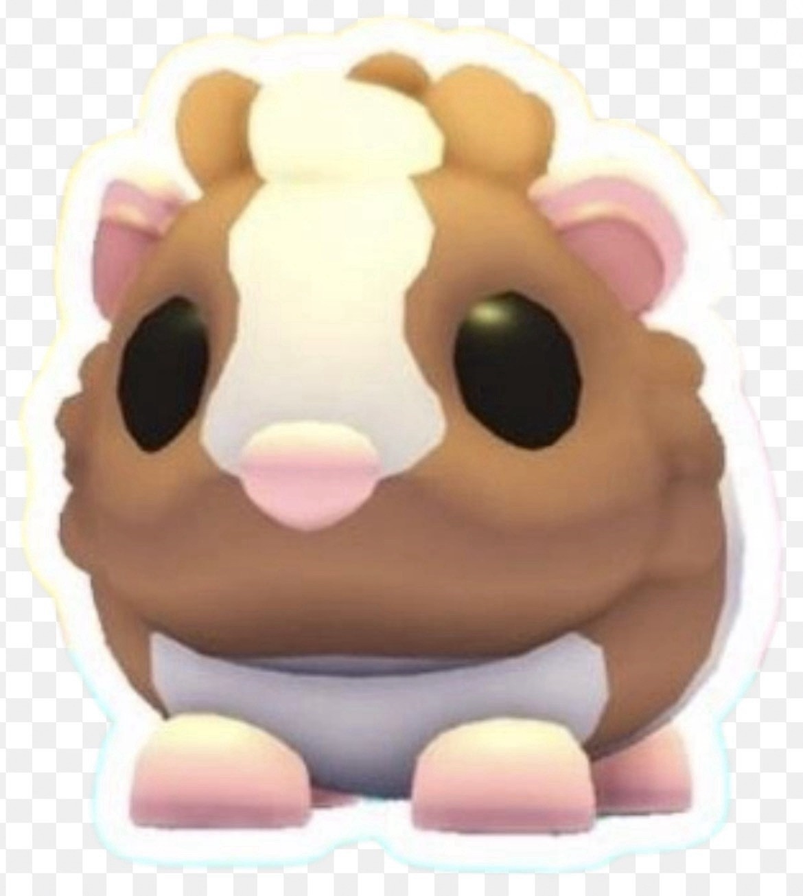Chocolate Dutch Guinea Pig- Adopt From Me