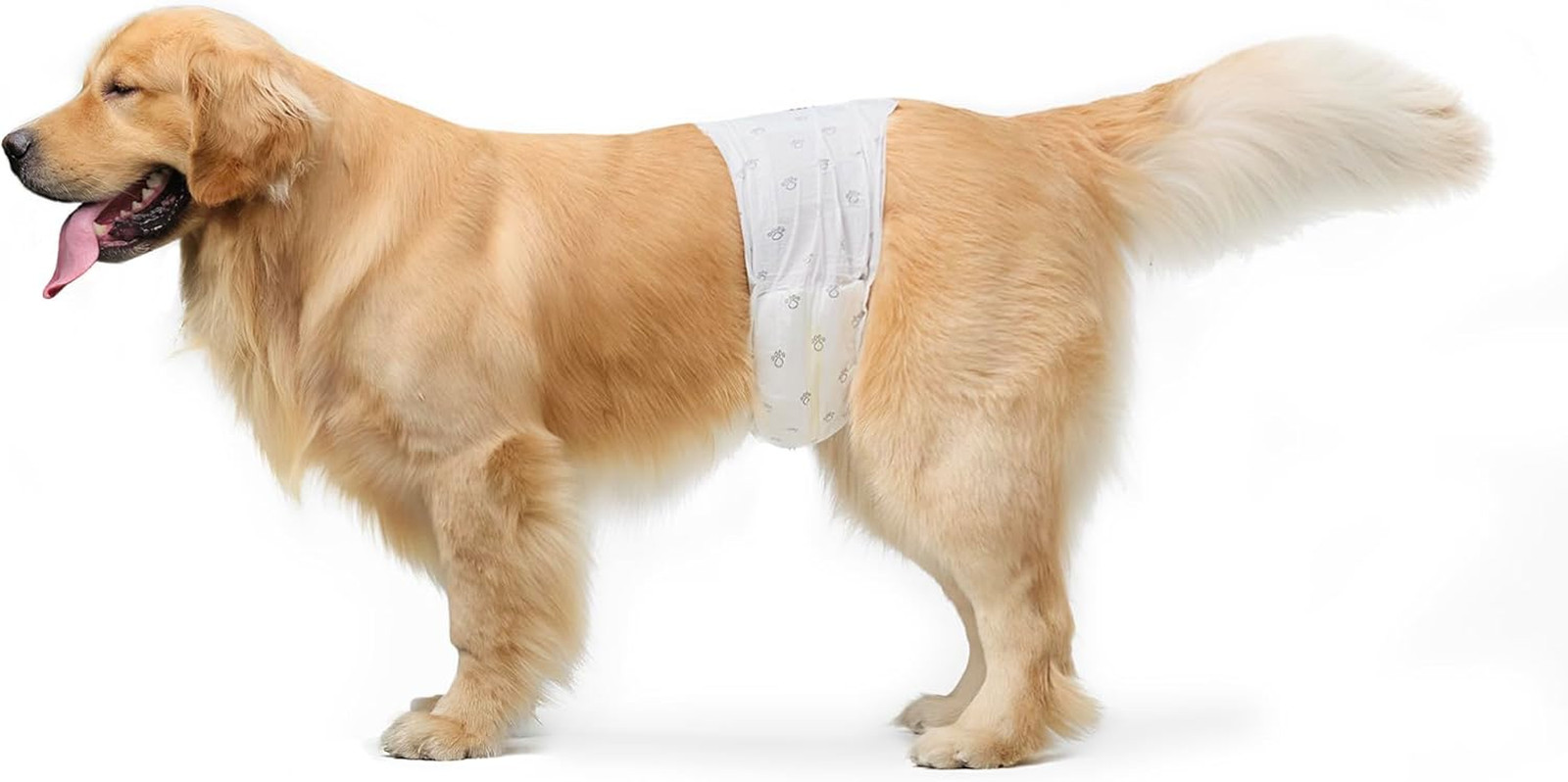 Pannolini USA E Getta per Cani Maschi - L, Confezione Da 50, Bianco