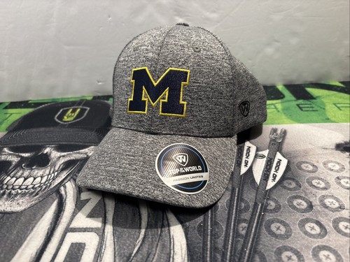 Michigan Wolverines Gray Hat NCAA Top Of The World Adjustable New
