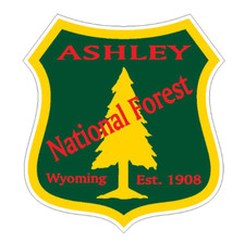 12" ashley national forest wyoming bumper sticker decal usa made