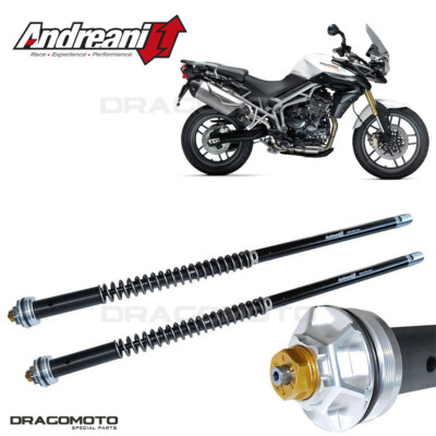 TRIUMPH Tiger 800 2010-2014 cartridge ANDREANI 105/T05E MISANO EVO