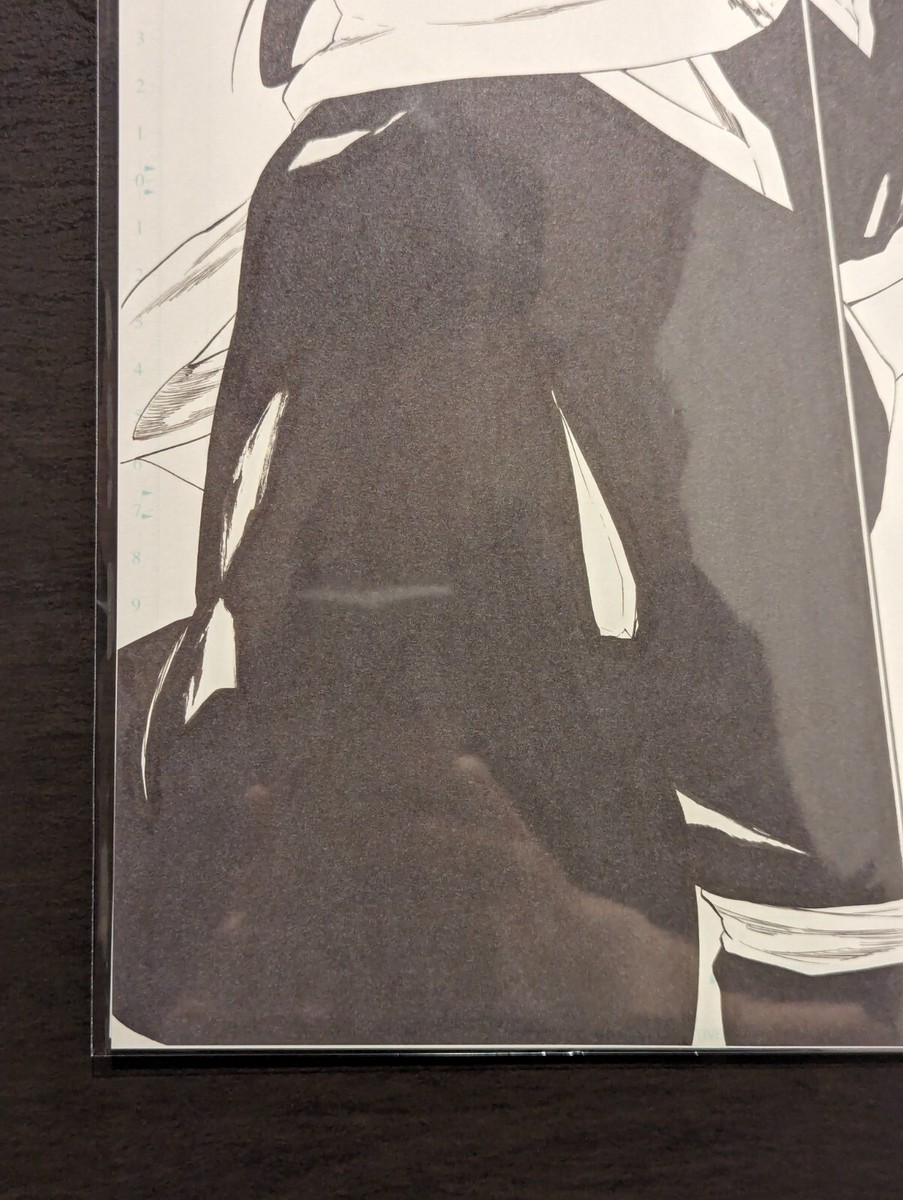 NEW B4 size Manga Print No.302 Rukia Byakuya BLEACH NEW B4 size Manga Print No.302 Rukia Byakuya BLEACH