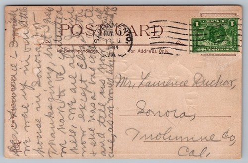 Postcard: Thanksgiving, Frances Brundage, Embossed, G., Ser. #135, Posted 1914 - Picture 2 of 2