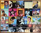 Elvis Presley 20 Vinyl Record Lot LP Collection Blue Hawaii G.I. Blues & More