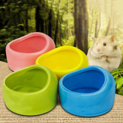 hamster water dish