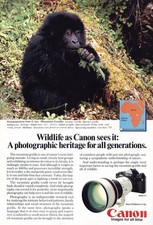 1982 Canon Camera: Wildlife Mountain Gorilla Vintage Print Ad
