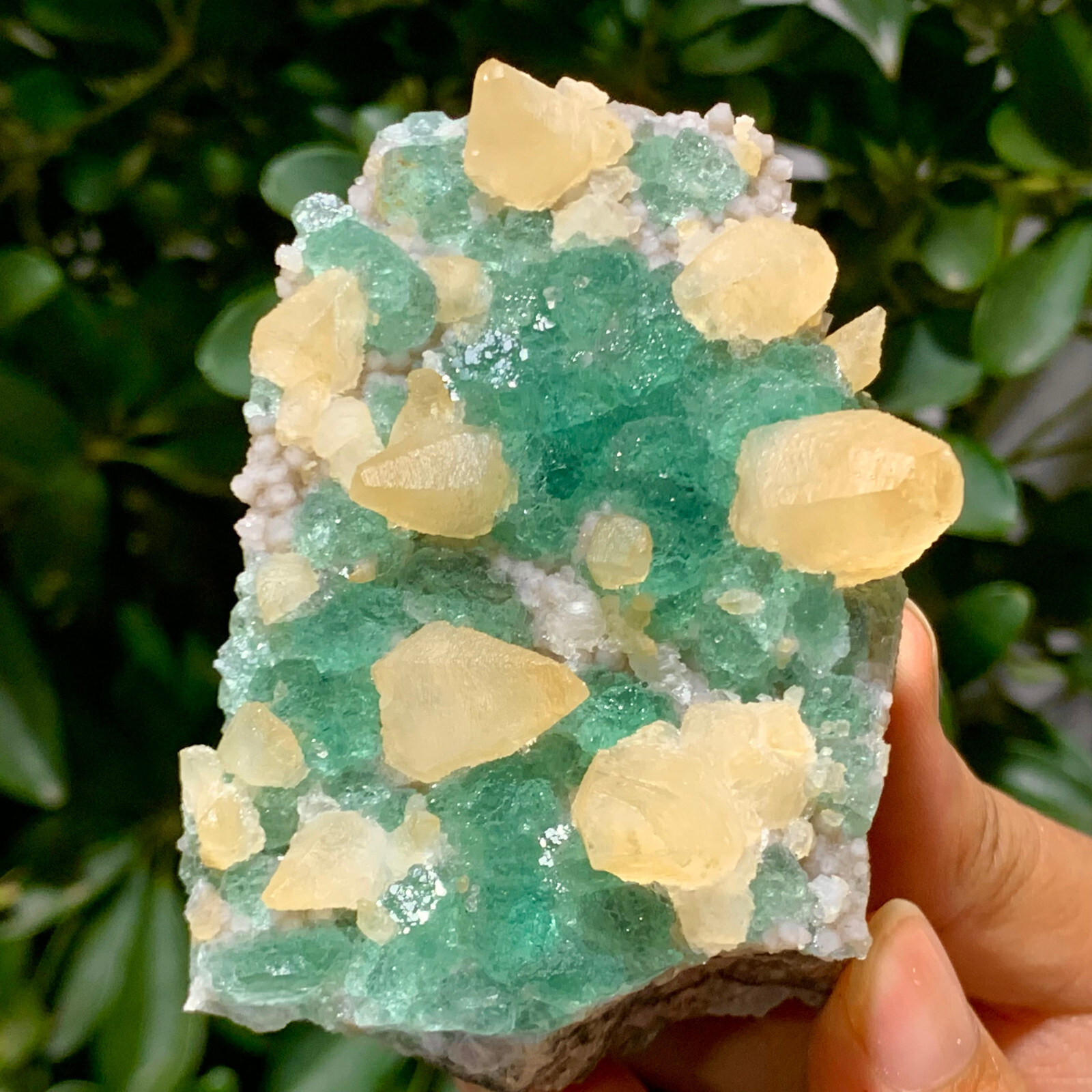 Rare 321G Transparent Green Cubic Fluorite Crystal Specimen from China