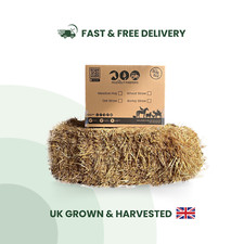 Oat Straw Box Fresh High Nutrition Top Quality Rabbit Guinea Pig Pet Food Fodder