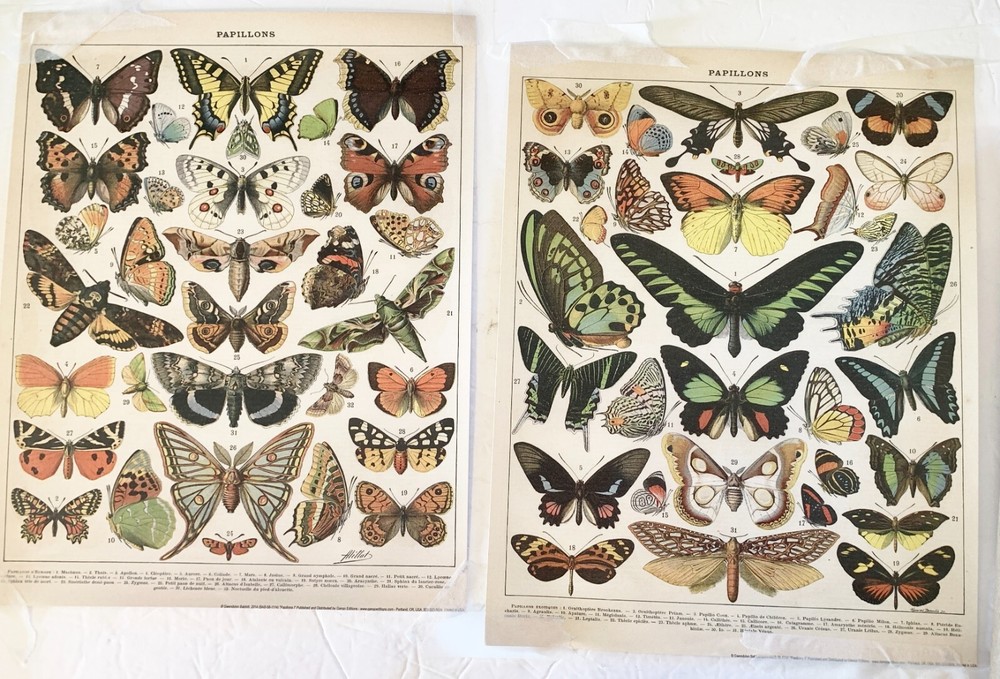 2 Diff Gwendolyn Babbit Gango Papillon Charts-Special Paper Tape Used 2 Photo