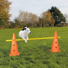 Pylonen-Hürde für´s Agility