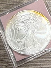 2009 Silver Eagle $1 Dollar 1oz Uncirculated .999 -MS Yellow Toning