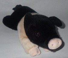 Miyoni By Aurora Plush Pig Hampshire Piglet Realistic Life Like Black Tan Baby