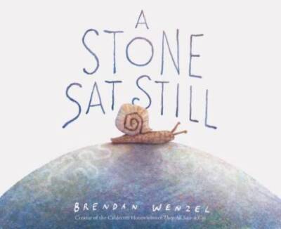 A Stone Sat Still - Hardcover By Wenzel, Brendan - VERY GOOD