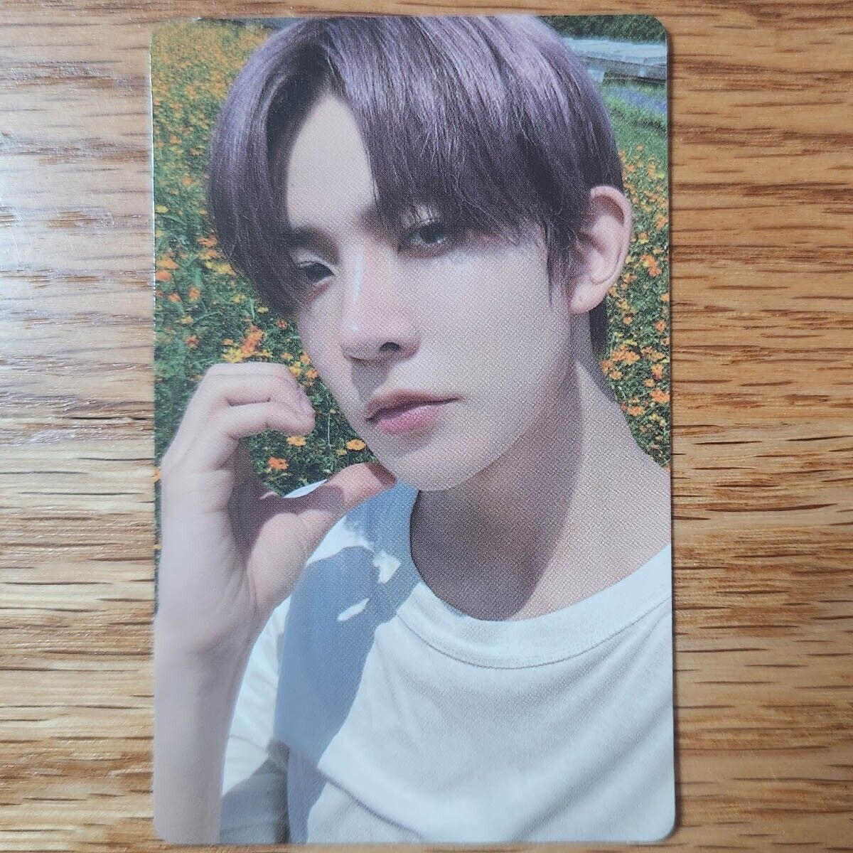 Heeseung Official Photocard Enhypen Orange Blood Weverse Heeseung Official Photocard Enhypen Orange Blood Weverse