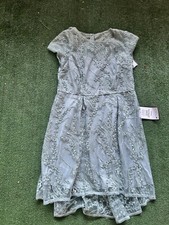 Adrianna Papell Sequin Embroidered Fit & Flare Dress in Icy Sage Size 16