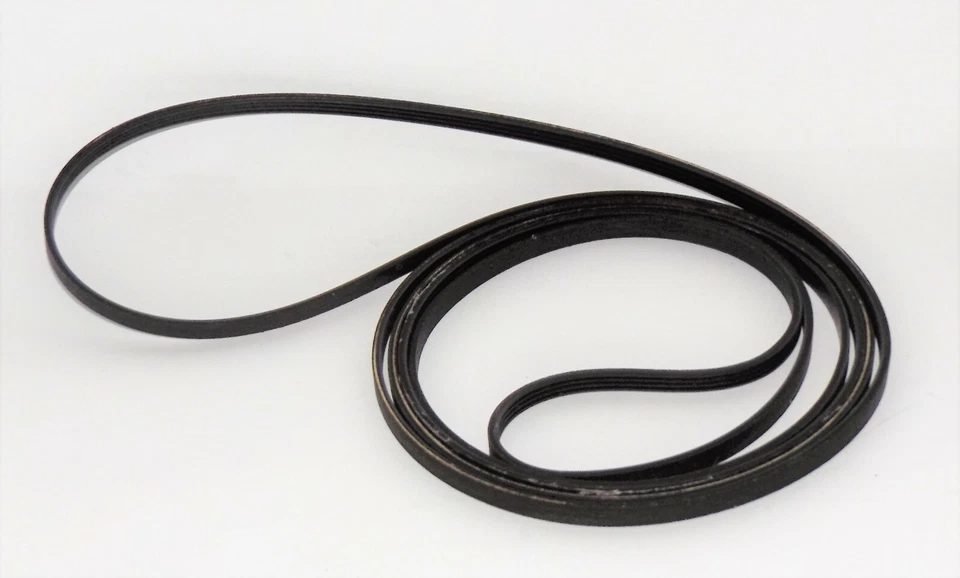 Secadora KitchenAid: correa de tambor (8066065 / 341241) {P3426} Foto 2 de 4