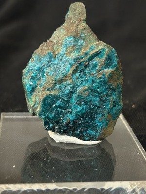 Dioptase Magma Mine Superior, Pinal County,Arizona Miniature 4.5x3.5