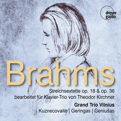 Grand Trio Vilnius - String Sextets Opp. 18 & 36 Arr. For Piano By [Used Very Go