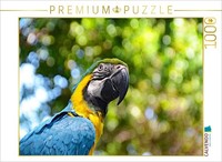 Calvendo Puzzle Parrot | 1000 Pieces, Finished Size 25.2 × 18.9 In (64 × 48 Cm)