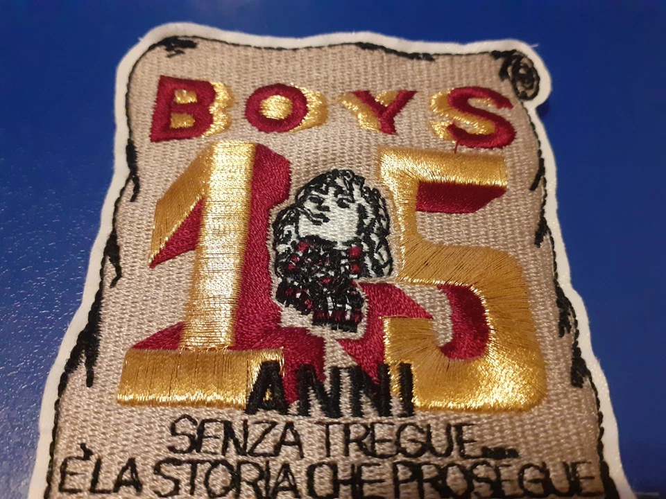 STUPENDA TOPPA PATCH ULTRAS BOYS REGGINA. 15° ANNO - Immagine 2 di 3