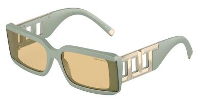 NEW Tiffany 4197 Age Group Sunglasses 8365/8 100% AUTHENTIC