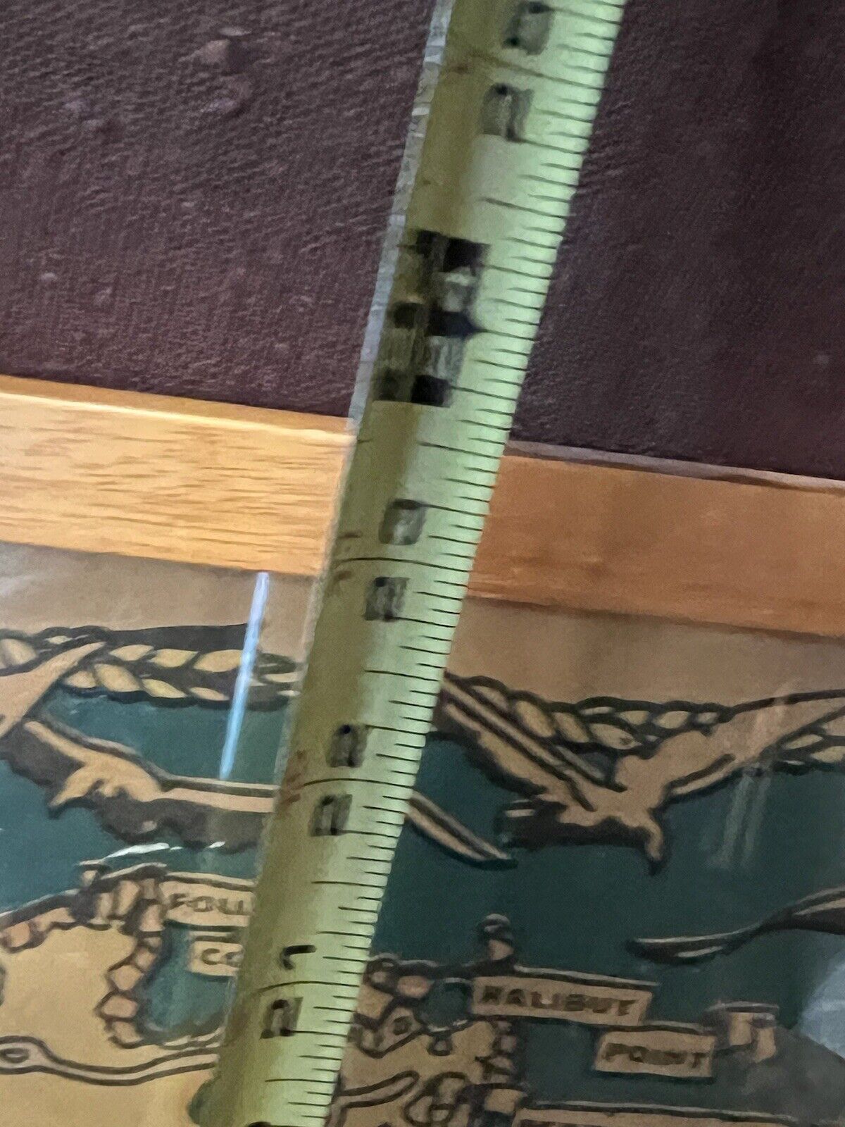 Picture 8 of 12