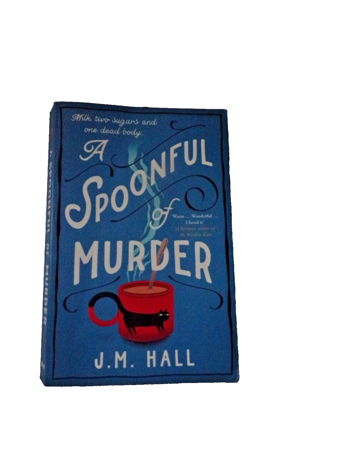 A Spoonful of Murder by J.M Hall Paperback Book From 2022