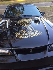 Cobra Hood Decal large Auto vinyl graphic Sticker Fits Ford Mustang 23" x 36"
