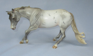 Peter Stone Performance Horse FCM Cutter Appaloosa mare McElroy LE 1 of 30