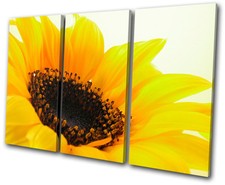 Floral Flowers BOTANICAL TREBLE CANVAS WALL ART Picture Print VA