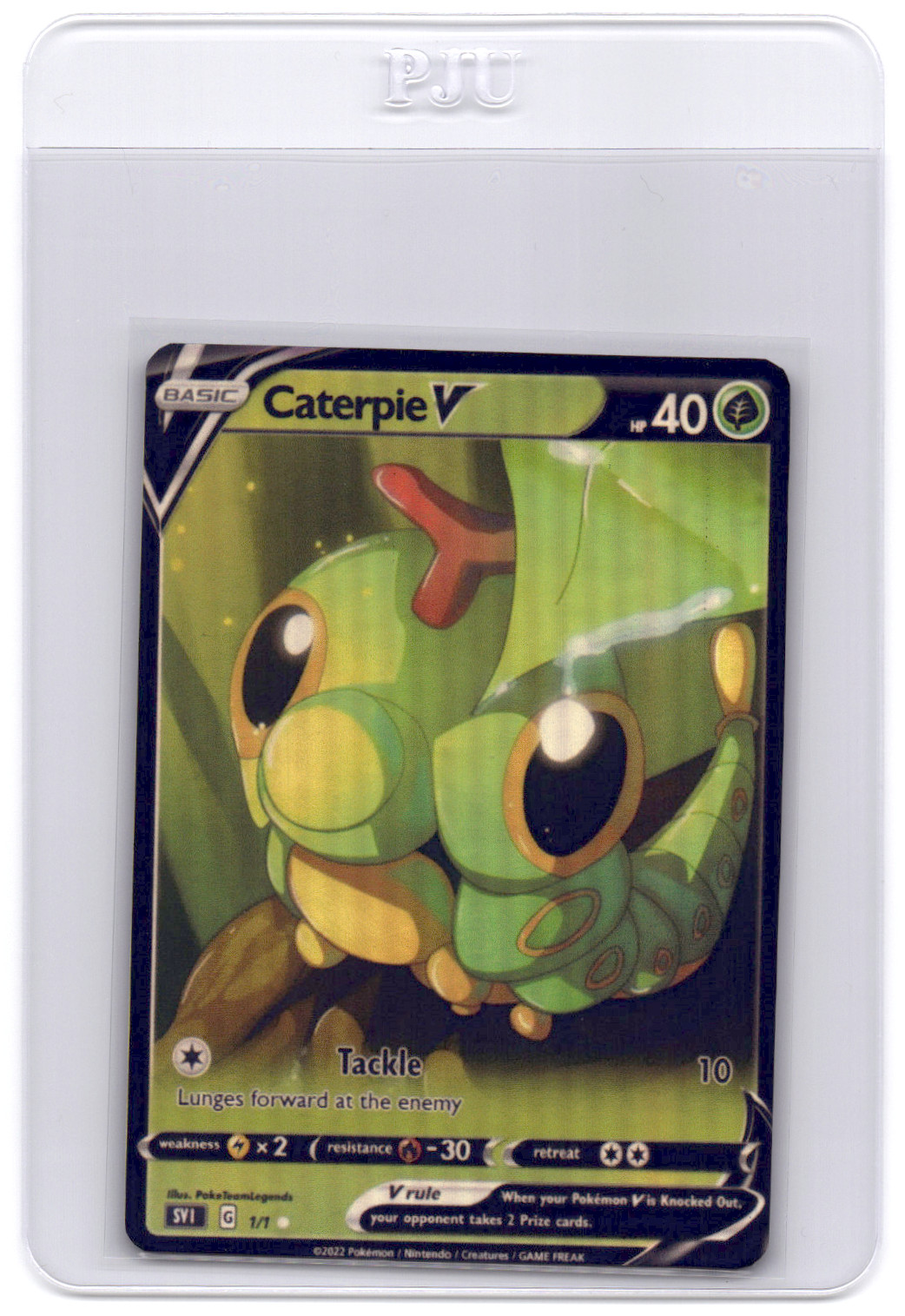 CUSTOMmade madeTOorder full art holo pokemon card PTL175 Caterpie