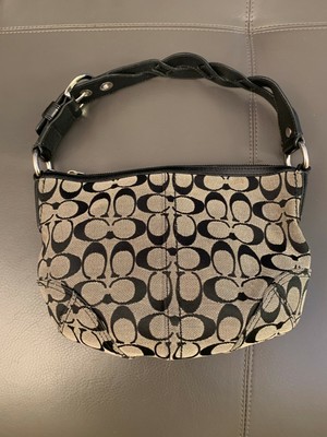 sprayground dragon shark