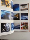 Foto 4 di 4