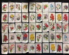 c1913 Lot of 48 FLOWER Tobacco Silks Cigarette Inserts Satin Silk Insert Vintage