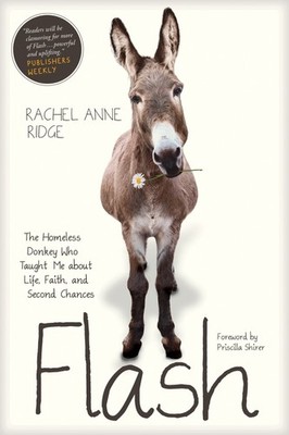 Flash: The Homeless Donkey Who Taught Me about Life, Faith, and Second Chanc...