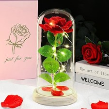 DEEMEI Valentines Eternal Rose Flowers Birthday Gifts for HER. Make her special.