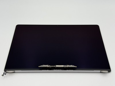 Apple Original Display für MacBook Pro 16'', A2141, Space Gray