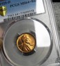 1925-D Lincoln Cent Wheat Penny --- PCGS MS-64+ RED Gem BU++ --- #208 Denver Lincoln Wheat Penny